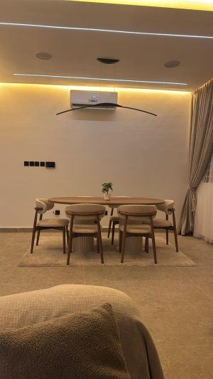 IMG-20260211-WA0010 Dining chairs