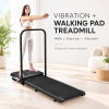 Fat-Burning Machine/Flat-Panel Treadmill